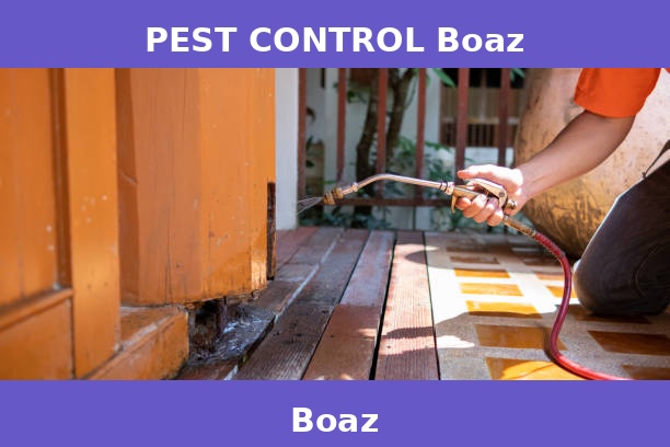 PEST CONTROL Boaz